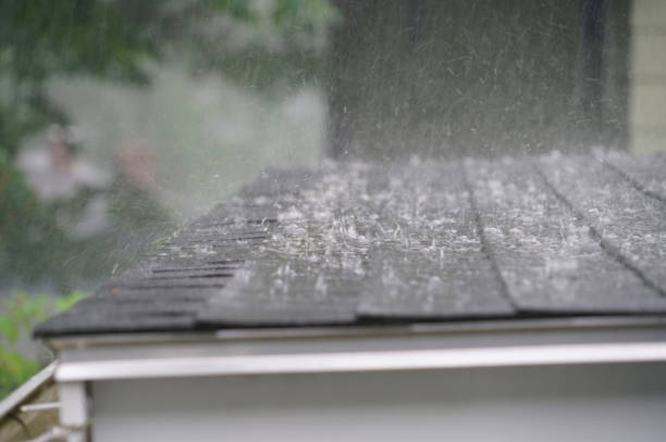 Best Asphalt Shingles Roofing  in Knoxville, TN